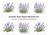 Lavender Bush Designs Clipart Bundle