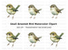 Cute Bird Clipart Bundle