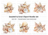 Seashells Clipart Bundle