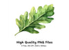 Green Leaves Clipart Bundle