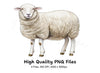 Sheep Illustrations Clipart Bundle