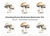 Mushroom Clipart Bundle