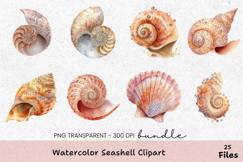 Seashell Clipart Bundle: 390 Unique Designs - CraftNest - Digital Crafting and Art