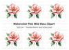 Pink Wild Rose Clipart Bundle