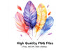 Colorful Feather Arrangement Clipart Bundle