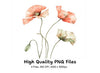 Poppy Clipart Bundle