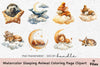 Sleeping Animal Coloring Page Clipart Bundle