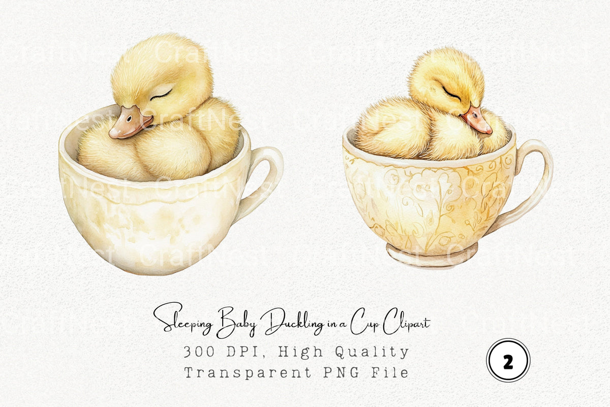 Sleeping Baby Duckling In Cup Clipart Bundle