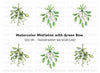Mistletoe Clipart Bundle
