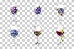 Wine Glass and Grape Vine Clipart Bundle - CraftNest - Digital Crafting and Art