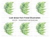 Decorative Fern Clipart Bundle