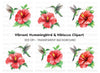Hummingbird and Hibiscus Clipart Bundle