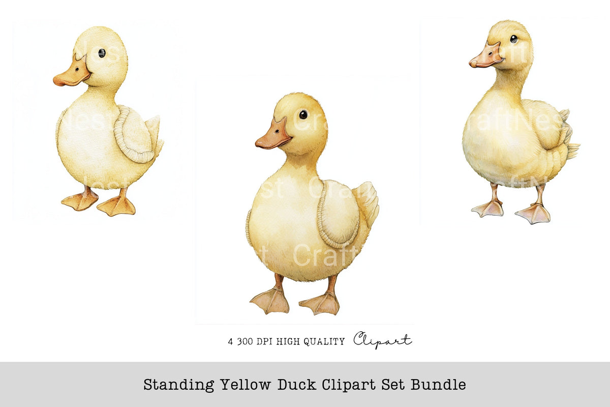 Standing Yellow Duck Clipart Bundle