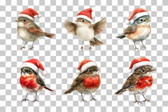 Robin Bird with Santa Hat Clipart Bundle - CraftNest - Digital Crafting and Art