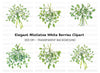 Green Mistletoe with Berries Clipart Bundle