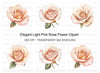 Elegant Blush Pink Rose Flower Clipart Bundle