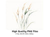 Wild Grass Clipart Bundle