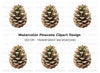 Realistic Pine Cone Clipart Bundle