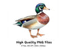 Mallard Duck Clipart Bundle