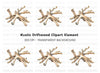 Driftwood Clipart Bundle