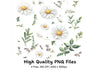 Daisy and Greenery Clipart Bundle