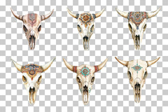 Cow Skull Southwestern Style Clipart Bundle - CraftNest - Digital Crafting and Art