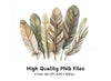 Earthy Tone Feather Grass Clipart Bundle