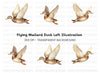 Graceful Flying Duck Clipart Bundle