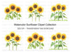 Sunflower Clipart Bundle