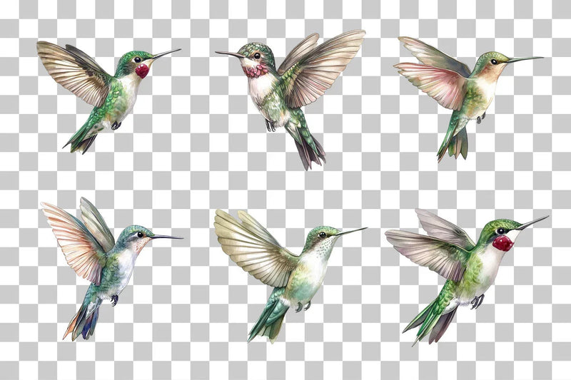 Hummingbird In Flight Clipart Bundle - CraftNest - Digital Crafting and Art