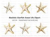 Starfish Clipart Bundle