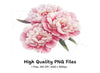 Pink Peony Flower Clipart Bundle