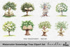 Knowledge Tree Clipart Bundle