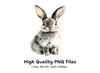 Charming Rabbit Clipart Bundle