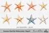 Coastal Starfish Clipart Bundle