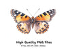 Butterfly Clipart Bundle