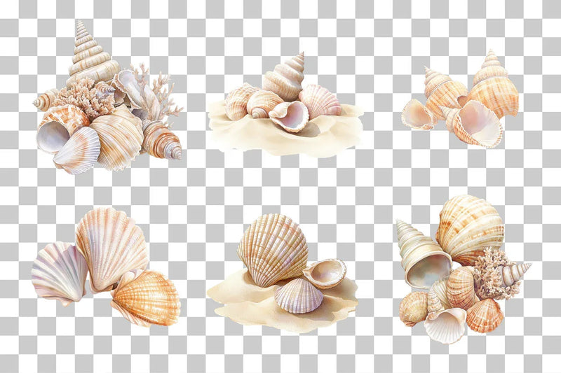 Coastal Seashells and Sand Dunes Clipart Bundle - CraftNest - Digital Crafting and Art