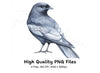 Cute Black and White Birds Clipart Bundle