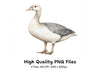 Elegant Goose Clipart Bundle