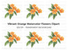 Orange Flower Clipart Bundle