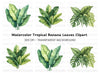 Tropical Leaf Clipart Bundle