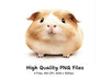 Cute Guinea Pig Clipart Bundle