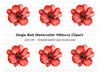 Vibrant Red Geranium Flower Clipart Bundle