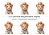 Cute Baby Lion King Clipart Bundle