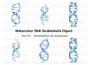 DNA Strands Clipart Bundle