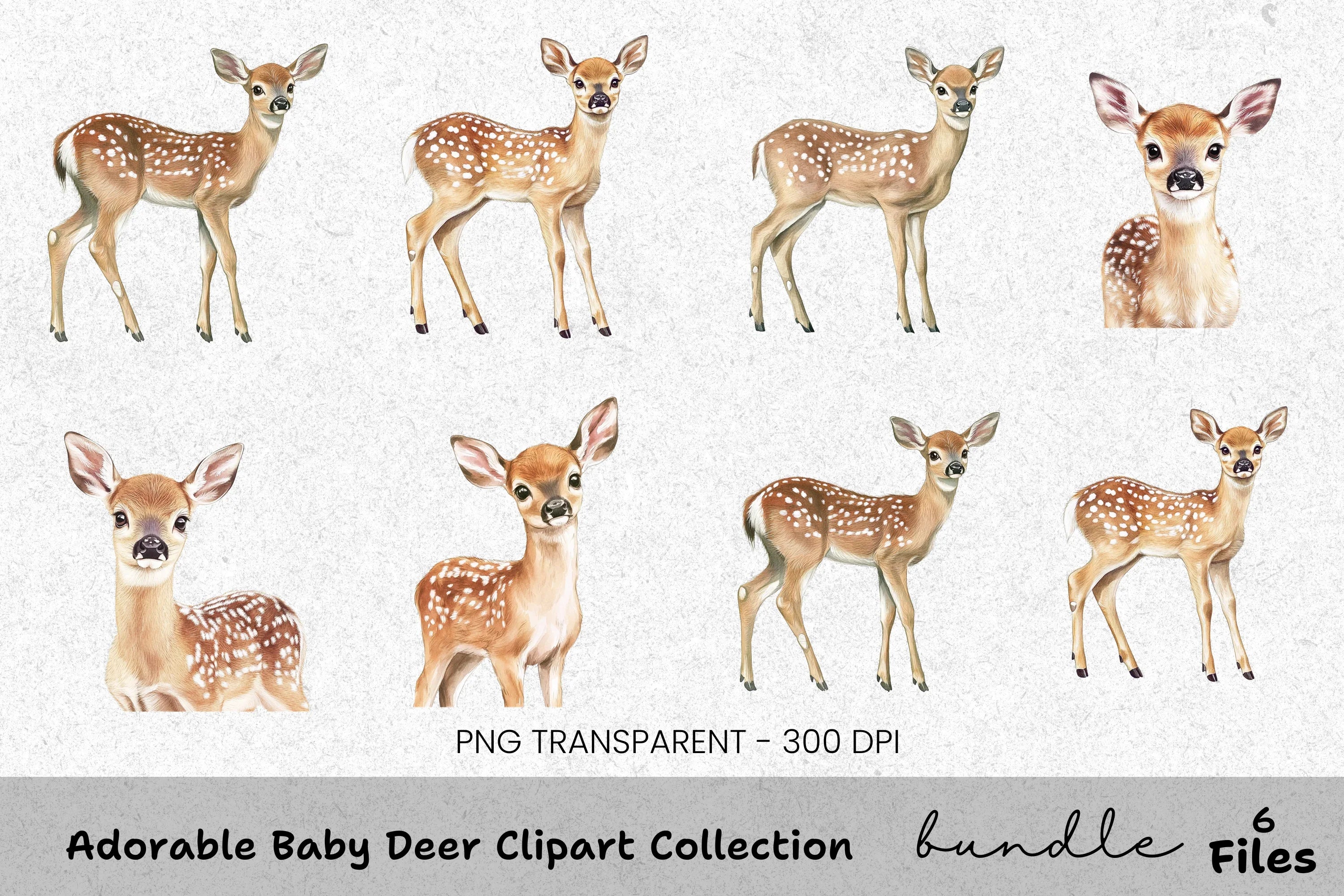 Adorable Baby Deer Clipart Bundle