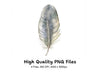 Feather Clipart Bundle