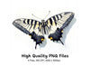 Swallowtail Butterfly Clipart Bundle