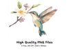 Hummingbird and Blossom Clipart Bundle