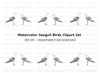 Seagull Clipart Bundle